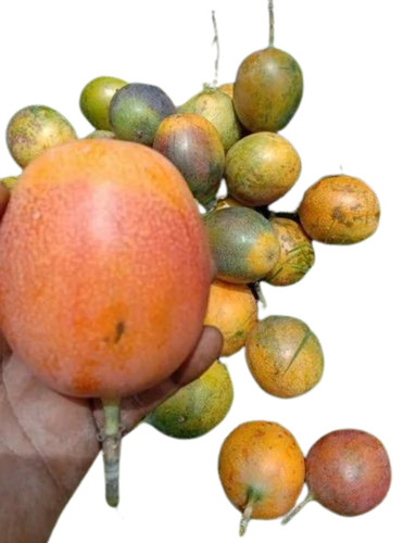 Sweet Passion Fruit