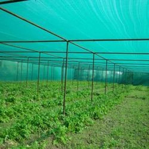 Nursery Shade Net - Advantage: Yes