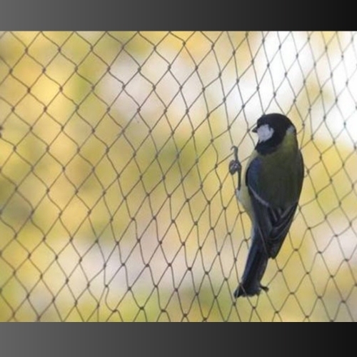 Anti Bird Net