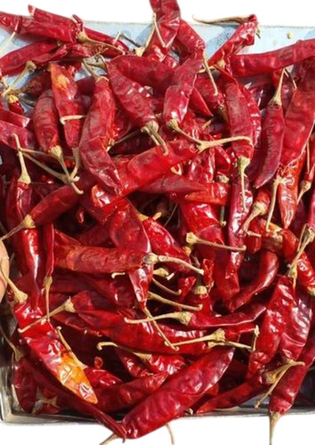 Guntur Dry Red Chilli