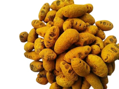 Turmeric Bulb