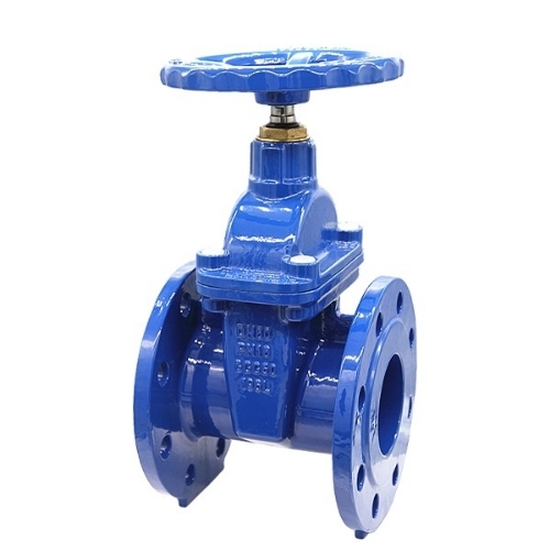 Flanged Gate Valve - Color: Blue