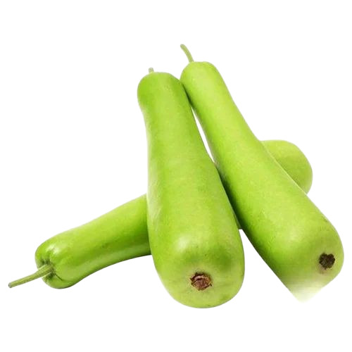 Bottle Gourd - Preserving Compound: Cool & Dry Places