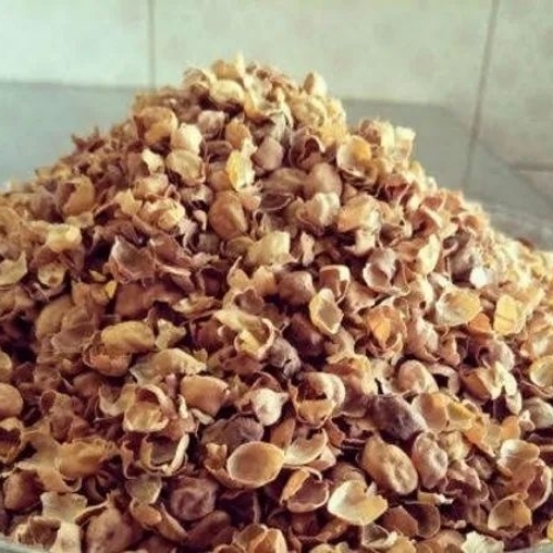 Cattle Feed