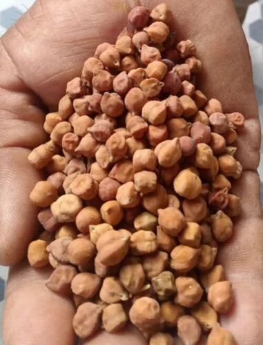 Desi Chana