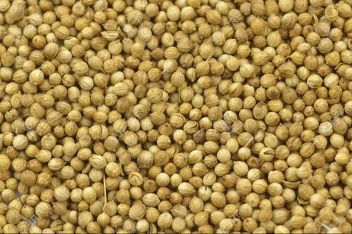 Eagle Coriander Seed