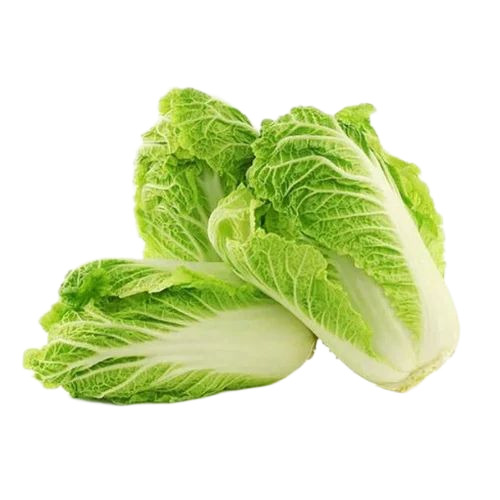 Fresh Chinese Cabbage