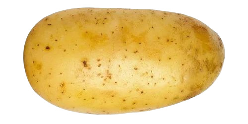 Fresh Potato