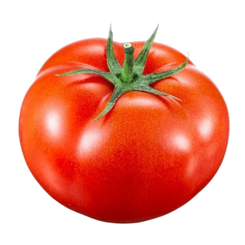 Fresh Red Tomato - Preserving Compound: Cool & Dry Places