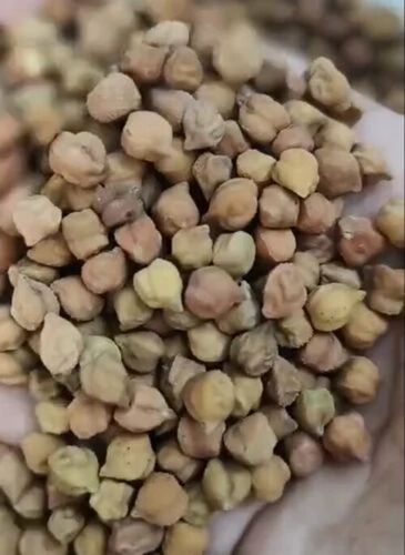 desi chana