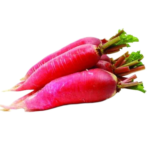 Red Radish