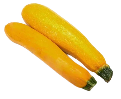 Yellow Zucchini