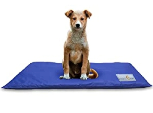 Pet Floor Mat
