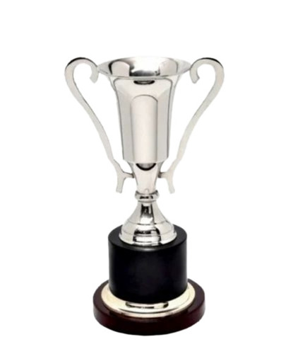 Achievement Trophies