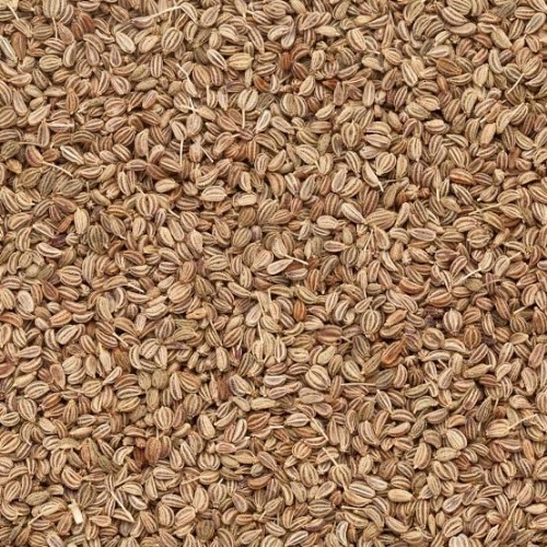 Ajwain