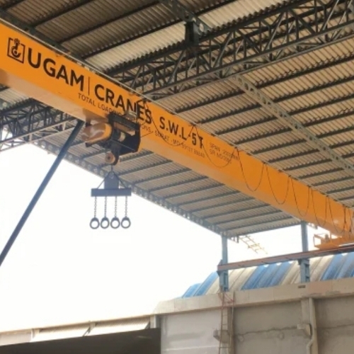 Double Grinder Eot Crane