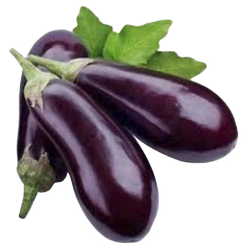 Fresh Brinjal