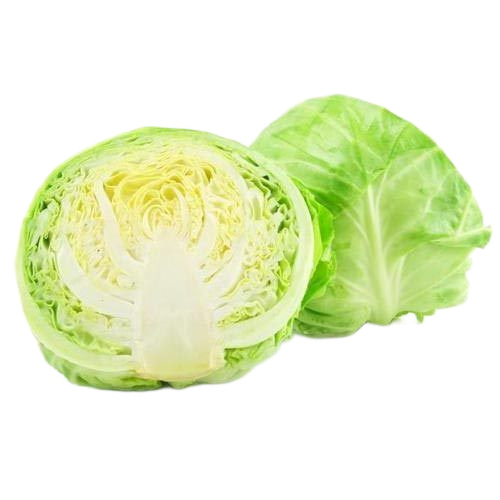 Green Cabbage