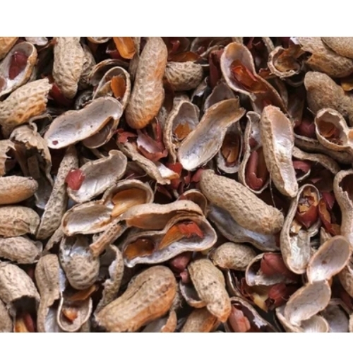 Ground Nut Shelled