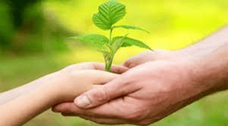 Incorporation of Farmer Producer Company