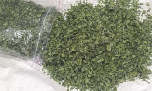 Best Quality Kasoori Methi