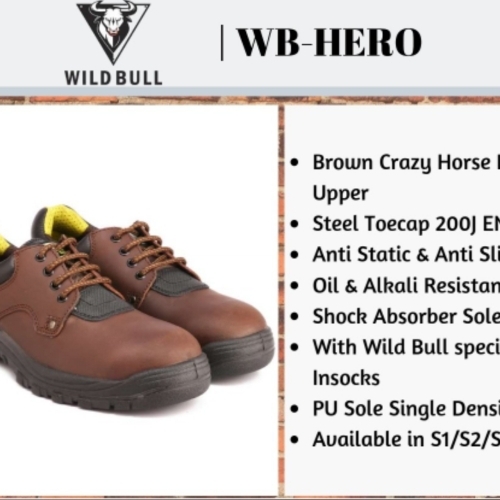 Wild - bull hero