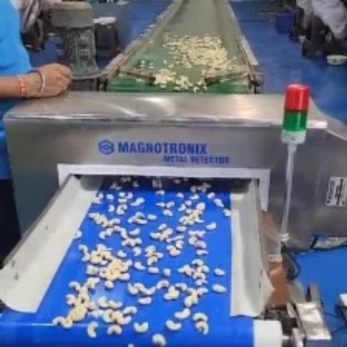 Cashew Metal Detector