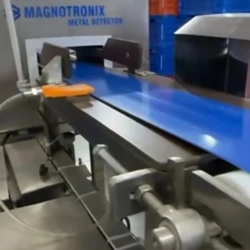 Noodles Metal Detector