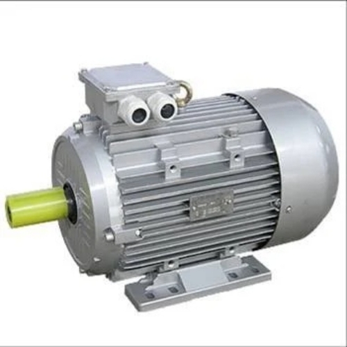 Silver Color Induction Motor