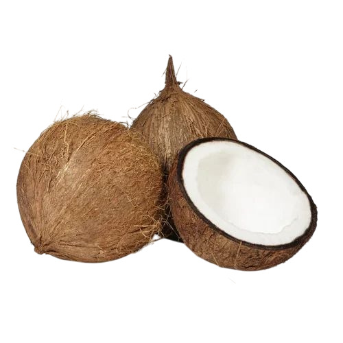 Fresh Coconut