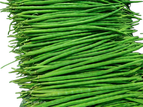 Fresh Drumstick 