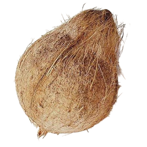 Fresh Semi Husked Coconut