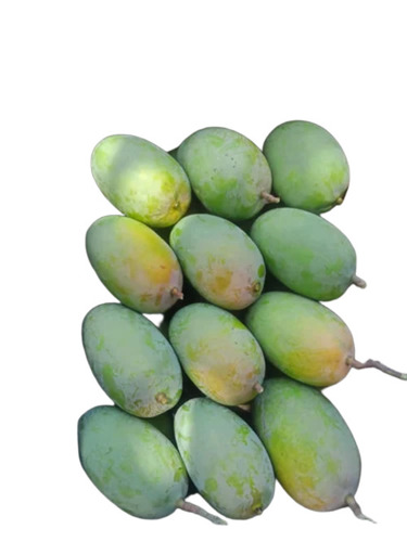 Green Alphonso Mango