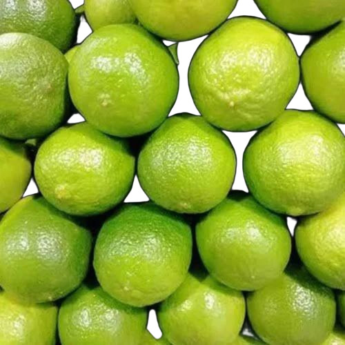 Green Orange Fruits - Cultivation Type: Common