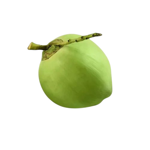 Green Tender Coconut