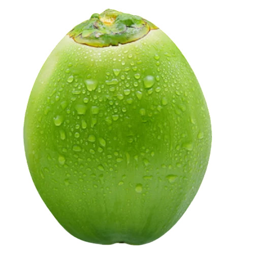 Natural Green Tender Coconut