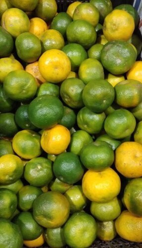 Orange Fruits