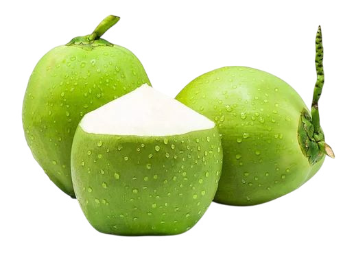 Pollachi Tender Coconut
