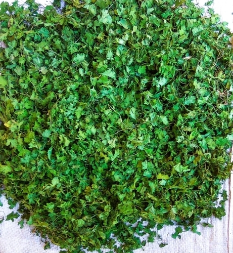 5 Kg Dried Coriander Leaves