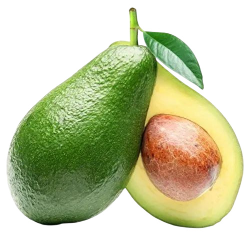 Avocado Fruits
