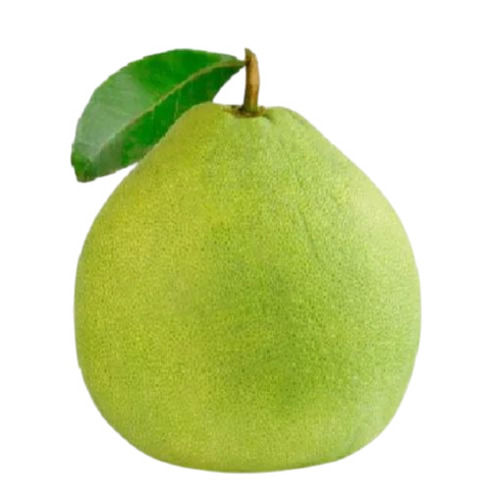 Fresh Pomelo Fruit - Color: Green