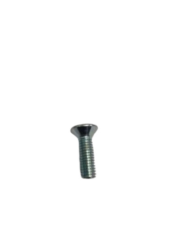Mild Steel Screw