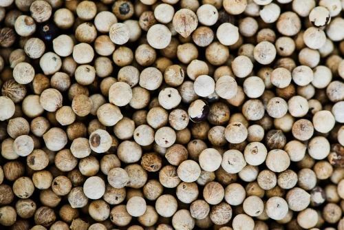 Organic White Pepper