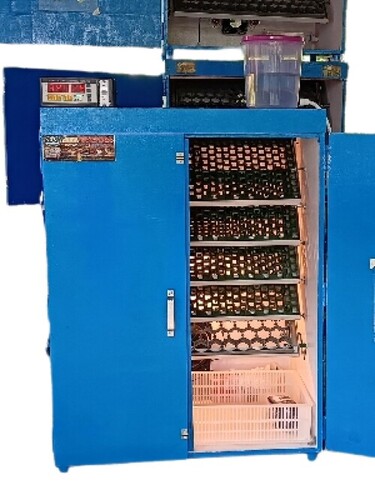 Automatic Eggs Incubator Machine - Feature: Low Maintenance
