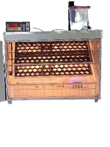 Eggs Incubator - Feature: Low Maintenance