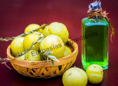 hair oil