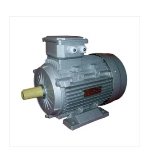 Induction Ac Motor