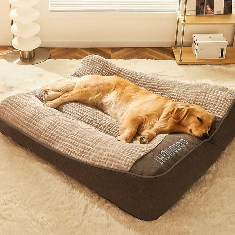 Orthopedic Dog Bed - Application: Cats