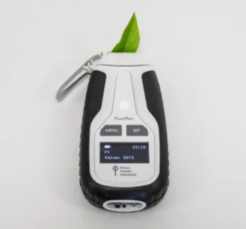 Chlorophyll Fluorescence Meter