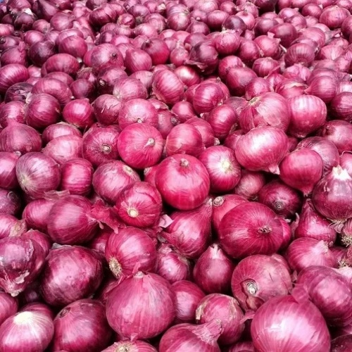 Onions